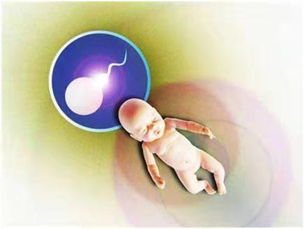 孕妈供卵代怀助孕咨询微信群